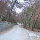 속리산국립공원(충북) Daum카페
