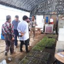 박종훈농장 이미지