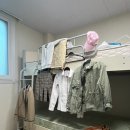 혼자 무심천 푸드트럭축제 다녀온 후기