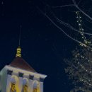 하얼빈 | 중국 하얼빈 여행 후기 / 맛집 / 빙설대세계 / 중앙대가