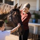 홍성군 승마장 이미지