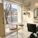 살롱(Salon)12.4