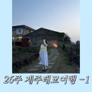 26주임신기록-1탄] 임산부튼살생김 임산부 제주태교여행 즐기기 제주신라호텔 가파도 봉분식 제주몽탄 후기