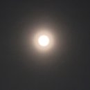 밥상119