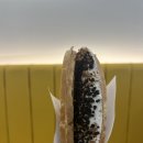 와플대학인천가정캠퍼스
