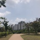 신수로R | 갬성 블로거가 되기 위한 첫 번째 하루