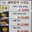구피염색방 - 천안시 동남구 충절로 848 | 구피염색방