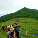 곰배령스케치 이미지