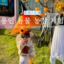 시리미농장 | 용인 아이랑 동물 농장 체험 포레스트벨