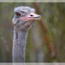 쉽게 배우는 아크릴화 이미지