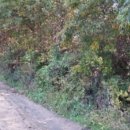 용연동마을회관 이미지