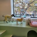 파란나무 유치원 | 가을과 겨울 그 사이