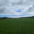 설악IC공인중개사사무소 이미지