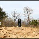 신어산(은하사 주차장~신어산 서봉~신어산~동봉~생명고개~장척산~백두산. 200415. 수) 이미지