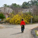 보은용사촌.펜션단지 이미지