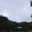 그린하우스펜션 | 경기도광주단체펜션 그린하우스펜션 내돈내산 후기