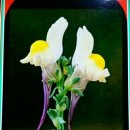 전라북도예술회관 이미지