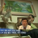 또또농장 이미지