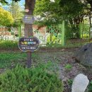 회덕초등학교 이미지