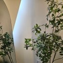 크레센트421 이미지