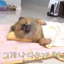 오쏠