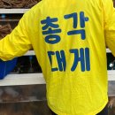 부산총각 이미지