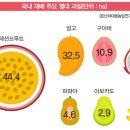 파파야 이미지