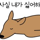 정선마루펜션