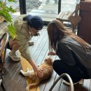 타무라하우스 이미지