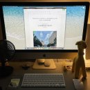 댕과댕빵 | 블챌#20 June 27th, 28th - 이번 주는 몹시 피곤할 예정