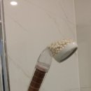 호텔코지(HOTEL COZY) 이미지