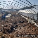 선원면-7 Daum카페