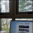 신성작은도서관 이미지