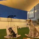 뭉스벨리 이미지