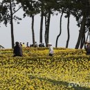 선도 글로벌뉴스통신