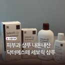약산성 샴푸 추천 닥터에스떼 세보릭 샴푸 내돈내산