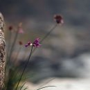 산과들과바람