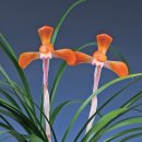 문경 온누리스포츠센터 이미지