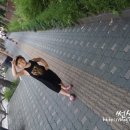 쁘니애견 이미지