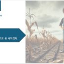 고기마음