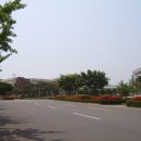 금락1리 이미지