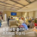 새벽야채 - 중구 안영로6번길 12 | 홍콩 공항 플라자 프리미엄 라운지, 새벽에 이용한 후기