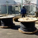 정관5로 이미지