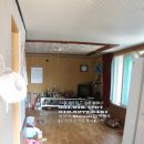 전원애견 이미지