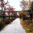 아름도담길 이미지