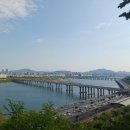 달맞이 Daum카페
