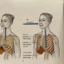 필라테스영 - 창원시 마산회원구 북성로 146 | 필라테스영