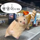 대학원생 EP. 1 졸업시험보고 에버랜드 가기