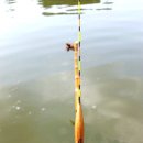 형제낚시터 이미지