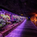 광명동굴 내 이미지